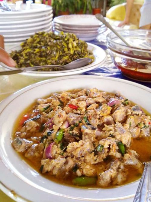 gohu ikan